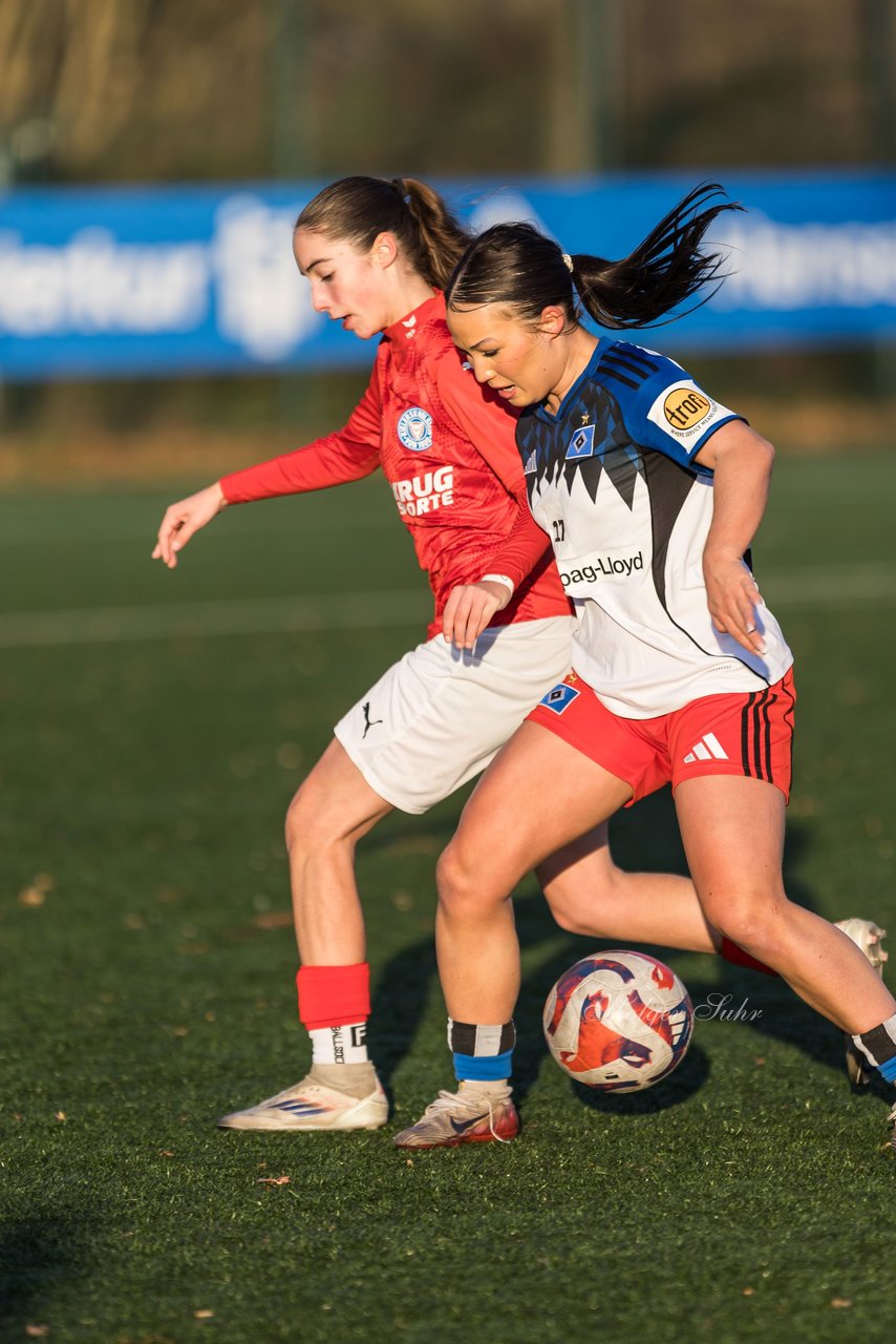 Bild 239 - wBJ Hamburger SV - Holstein Kiel : Ergebnis: 8:0